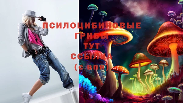 кокс Аркадак